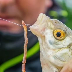 Cheap 😍 Matrix MXB-2 Medium Spade End Barbed Hooks Terminal Tackle 🧨 -Prologic Fishing Official matrix mxb 2 medium spade end barbed hooks 3 1