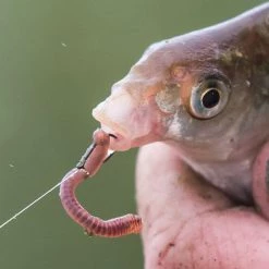 Outlet 😍 Matrix MXB-3 Strong Spade End Barbed Hooks Terminal Tackle 👍 -Prologic Fishing Official matrix mxb 3 strong spade end barbed hooks 6 1