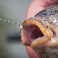 New 🥰 Matrix MXC-6 Medium Eyed Barbless Hooks Terminal Tackle ❤️ -Prologic Fishing Official matrix mxc 6 medium eyed barbless hooks 5 1