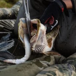 Best Pirce 🔥 Prologic Avenger Pro Beani Unhooking Mat Fish Care 👏 -Prologic Fishing Official prologic avenger pro beani unhooking mat ls 2